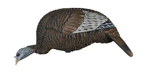 Flextone Thunder Chick Feeder Turkey Decoy