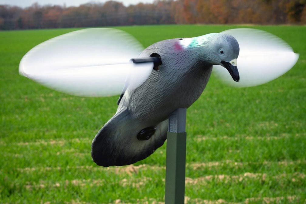 Mojo Outdoors Pigeon Decoy