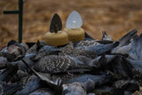 Mojo Decoys Dove A Flickers Dove Decoys 4 Pack