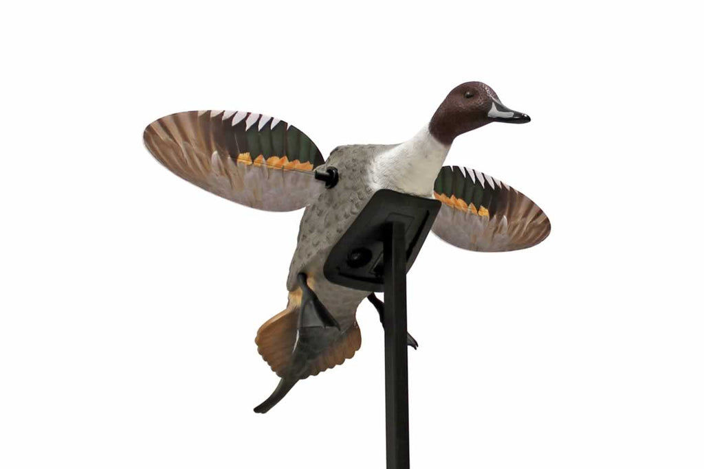 Mojo Outdoors Elite Series Pintail Duck Hunting Motion