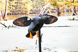 Mojo Outdoors Elite Series Gadwall  Duck Hunting Motion Decoy