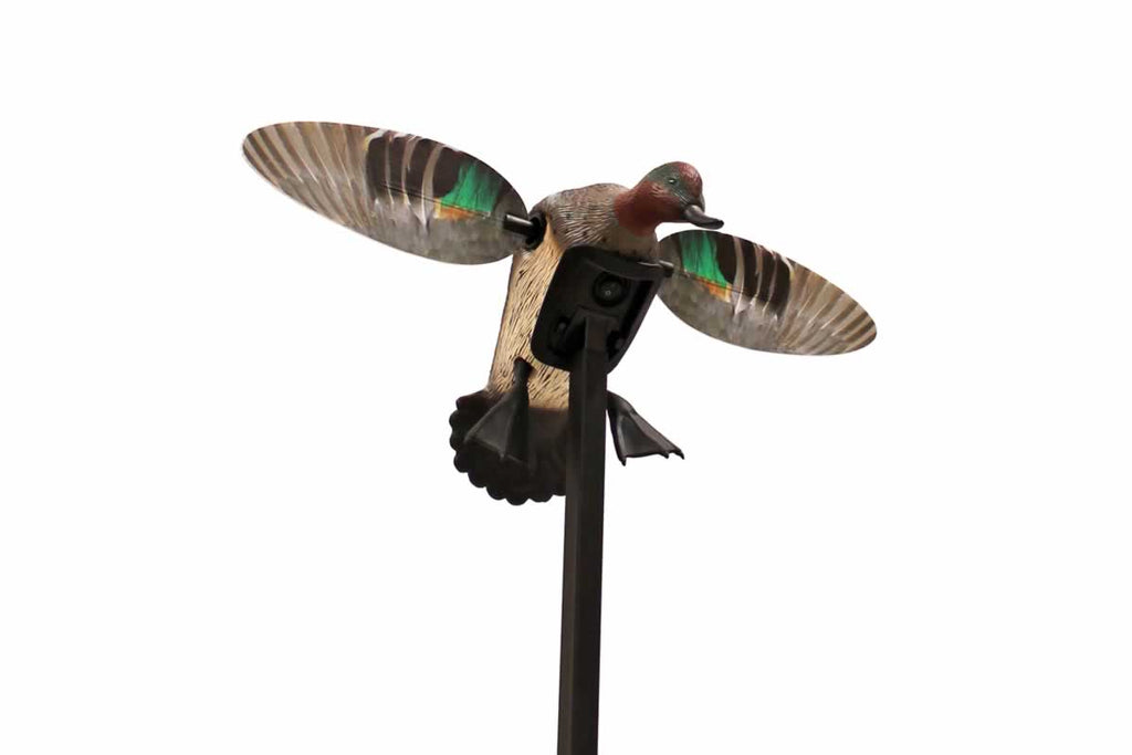 Mojo Outdoors Elite Series Green Wing Teal Duck Hunting Motion Decoy