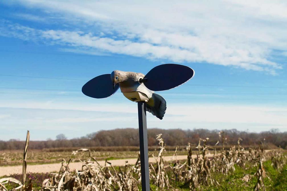 Mojo Outdoors Elite Series Dove Motion Decoy